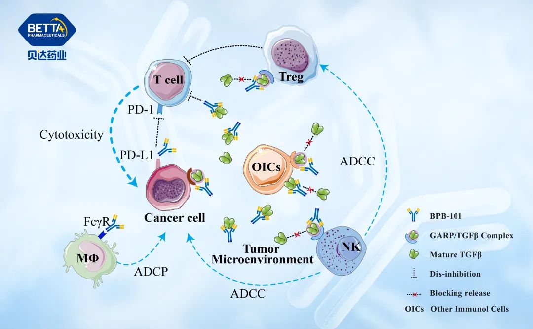 1684313981710885.jpg 微信图片_20230517165925.jpg
