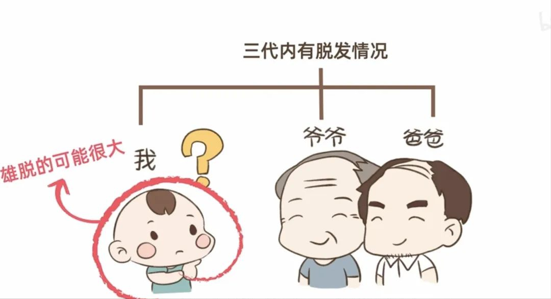 科普 | 如何判断脂溢性脱发？